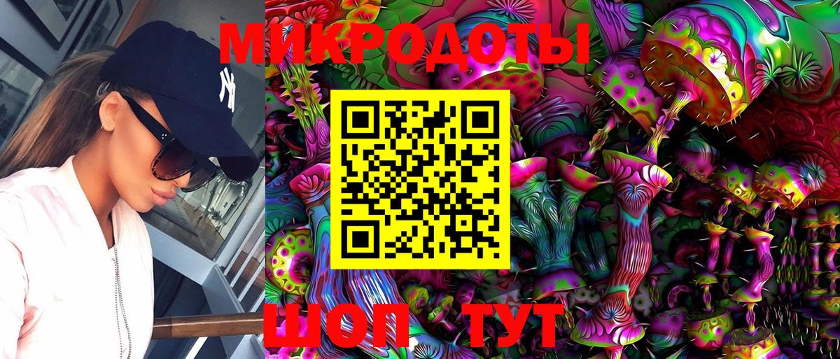 Псилоцибиновые грибы Cubensis Тобольск